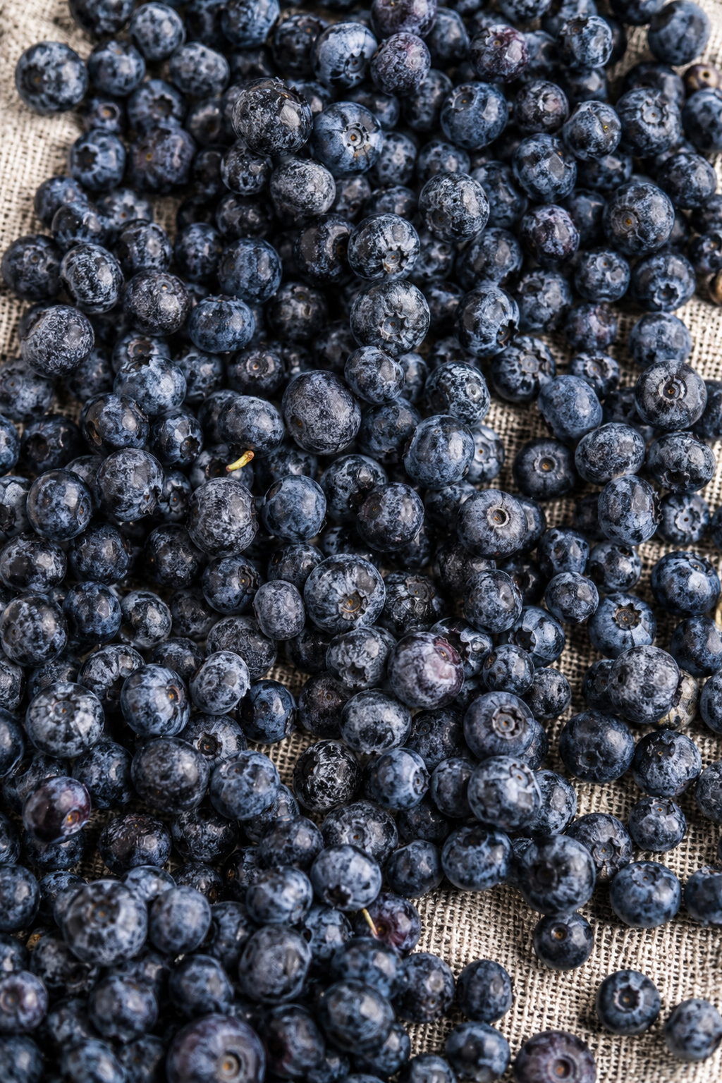 Wild blueberries photographed as a Foodna ingredient image for anthocyanin and polyphenol signals.