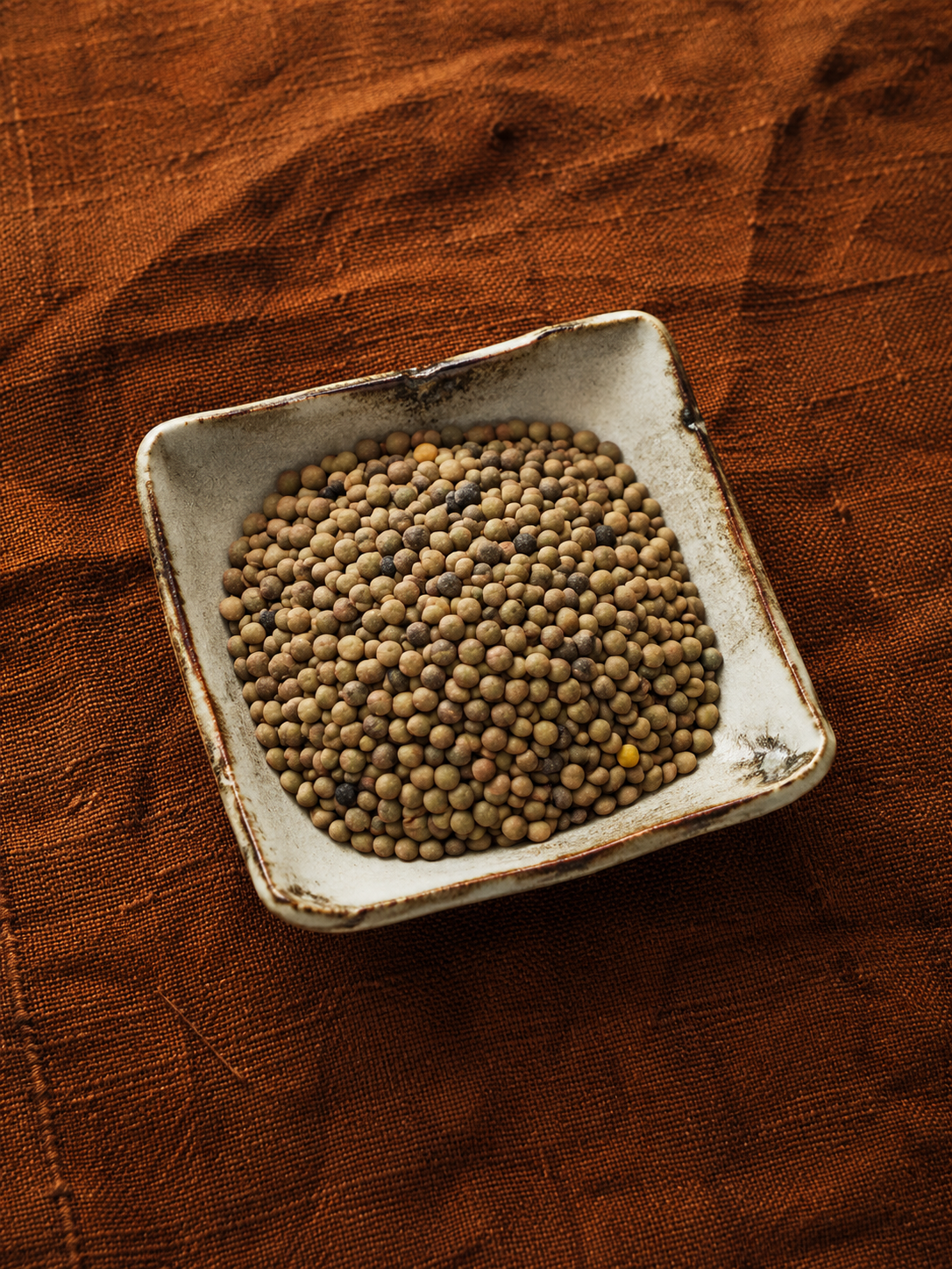 Lentils shown as a Foodna ingredient image for fiber and plant protein signals.