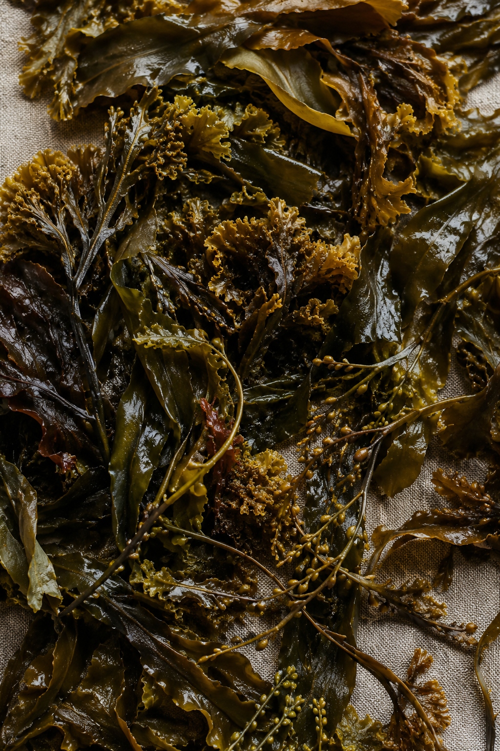 Seaweed shown as a Foodna ingredient image for marine-plant mineral context.